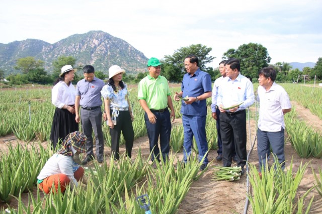 PHÓ CHỦ TỊCH QUỐC HỘI, THƯỢNG TƯỚNG TRẦN QUANG PHƯƠNG CHỦ TRÌ LÀM VIỆC VỚI HUYỆN THUẬN BẮC, NINH THUẬN VỀ CÁC CHƯƠNG TRÌNH MỤC TIÊU QUỐC GIA